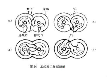 爪形转子干式机械真空泵工作原理